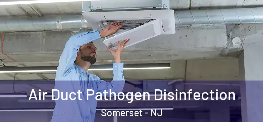 Air Duct Pathogen Disinfection Somerset - NJ