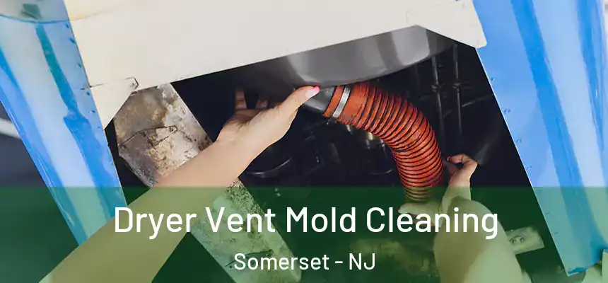  Dryer Vent Mold Cleaning Somerset - NJ