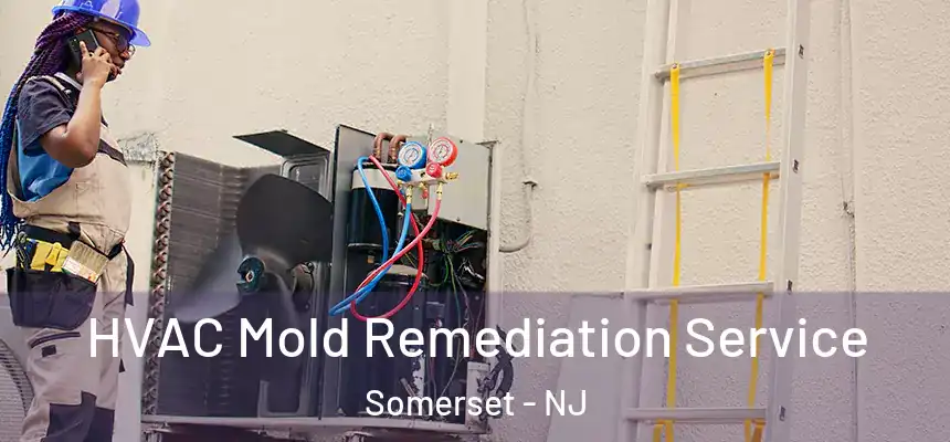  HVAC Mold Remediation Service Somerset - NJ