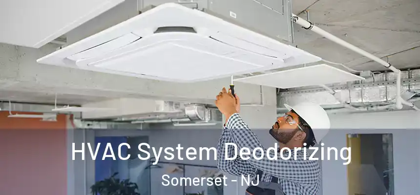 HVAC System Deodorizing Somerset - NJ