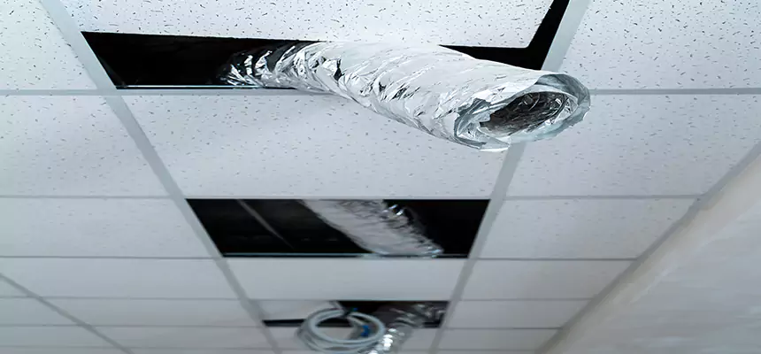 Our Air Duct Pet Hair Removal Services in Somerset, NJ