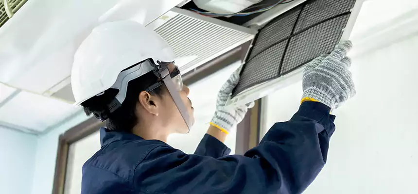 Our Mold & Mildew Removal from Air Ducts Services in Somerset, NJ