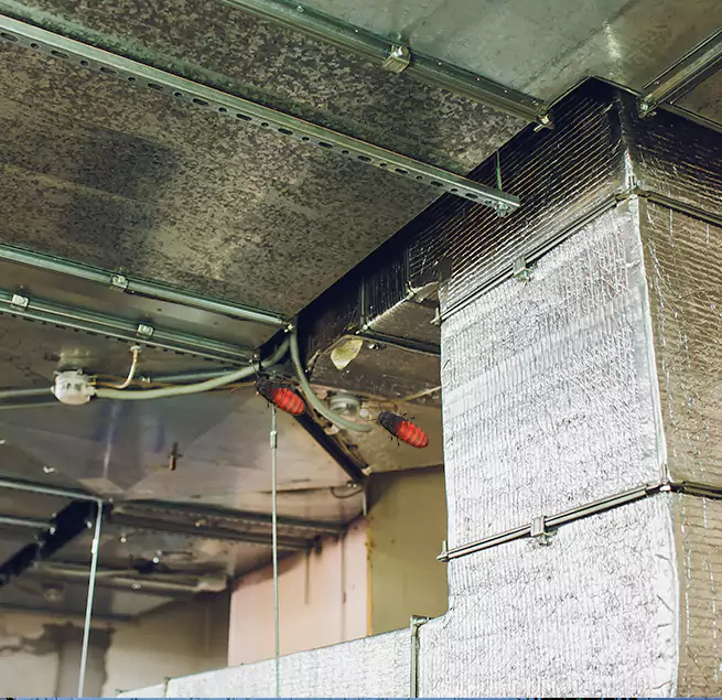 Why Homeowners & Businesses Trust Us in Somerset, NJ?