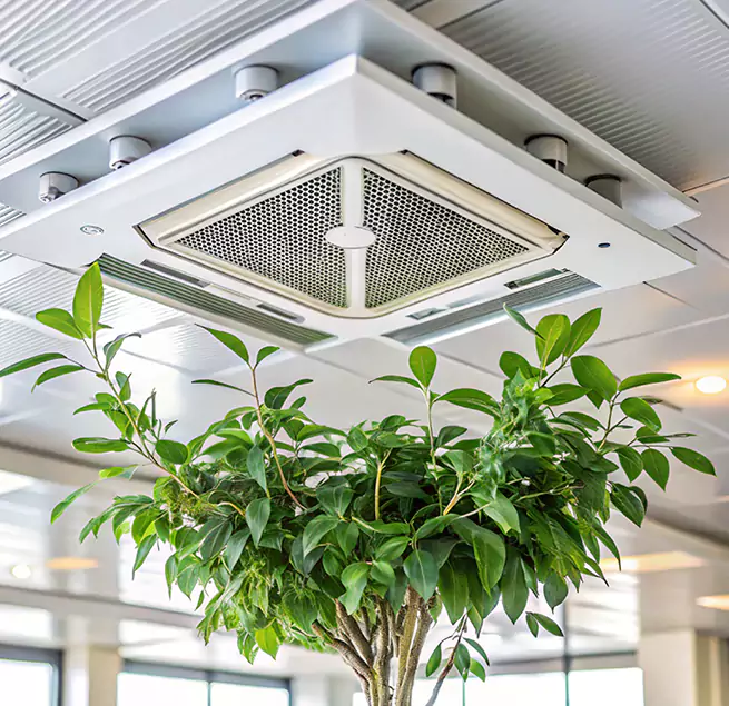 Why Homeowners & Businesses Trust Us in Somerset, NJ?